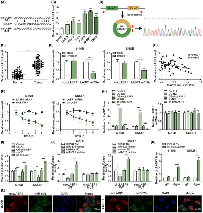 https://cdn.ncbi.nlm.nih.gov/pmc/blobs/ad2b/10154807/ac4212745178/CAS-114-2123-g006.jpg