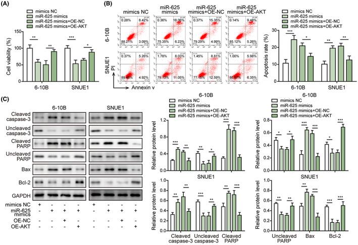 https://cdn.ncbi.nlm.nih.gov/pmc/blobs/ad2b/10154807/f833665bf6e7/CAS-114-2123-g010.jpg