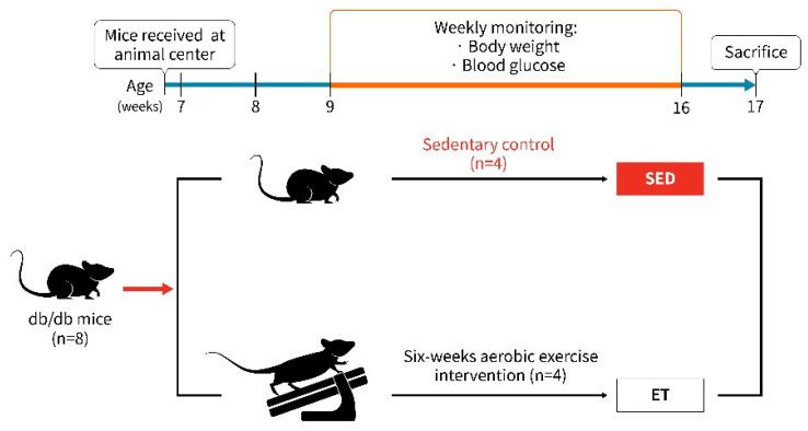 https://cdn.ncbi.nlm.nih.gov/pmc/blobs/ad2c/10971967/4056243f6d68/life-14-00412-g001.jpg