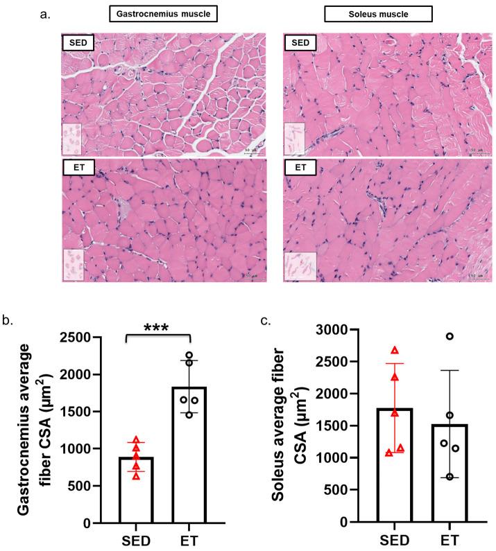 https://cdn.ncbi.nlm.nih.gov/pmc/blobs/ad2c/10971967/8eeb3ae99beb/life-14-00412-g003.jpg