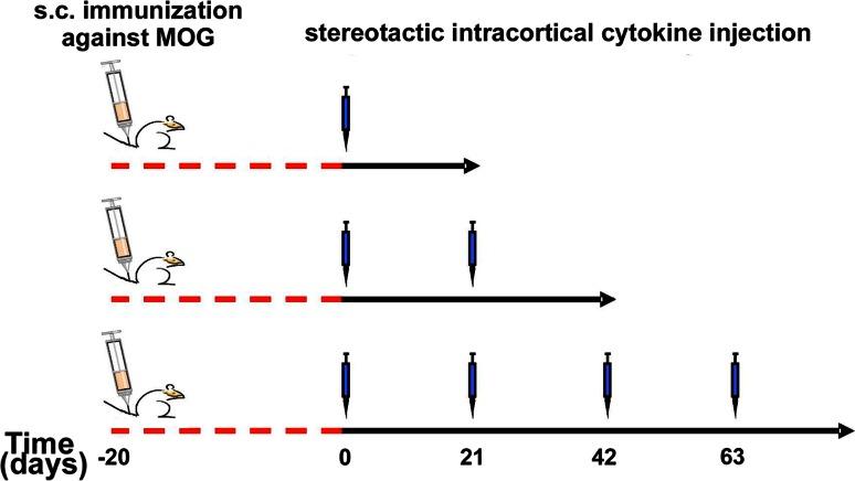 https://cdn.ncbi.nlm.nih.gov/pmc/blobs/ad2d/4102825/a19923805aea/401_2014_1260_Fig5_HTML.jpg