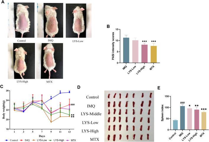 https://cdn.ncbi.nlm.nih.gov/pmc/blobs/ad2e/10040526/b8310c582edd/fphar-14-1136604-g002.jpg
