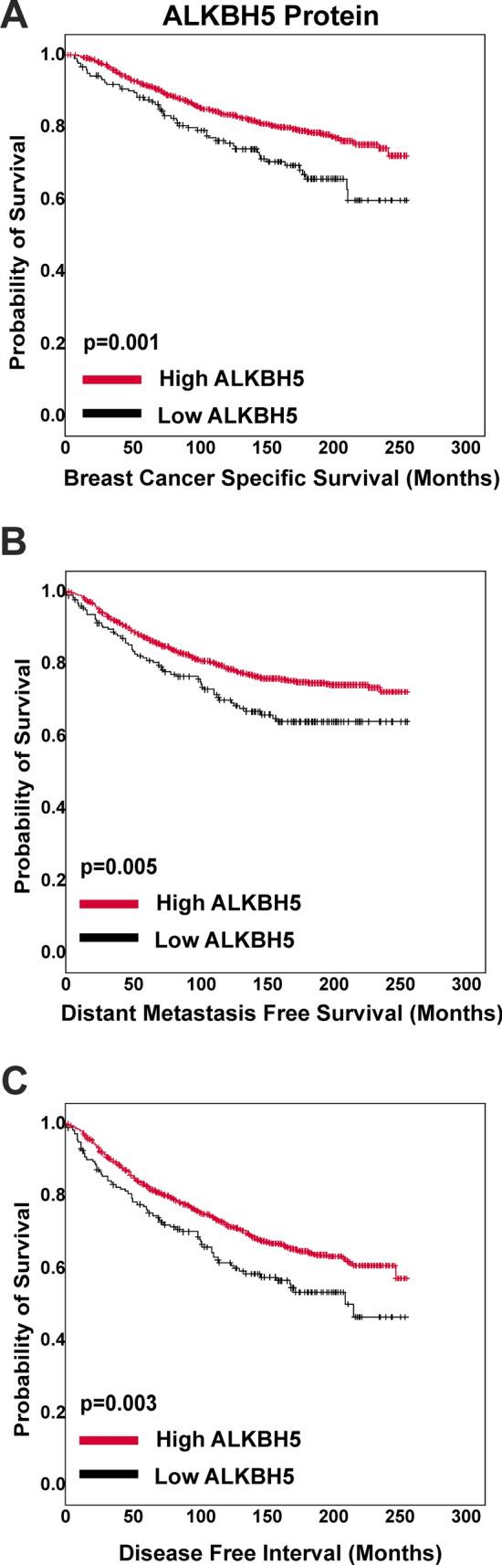https://cdn.ncbi.nlm.nih.gov/pmc/blobs/ad2f/11317455/f8fb02da5ef7/12672_2024_1205_Fig5_HTML.jpg