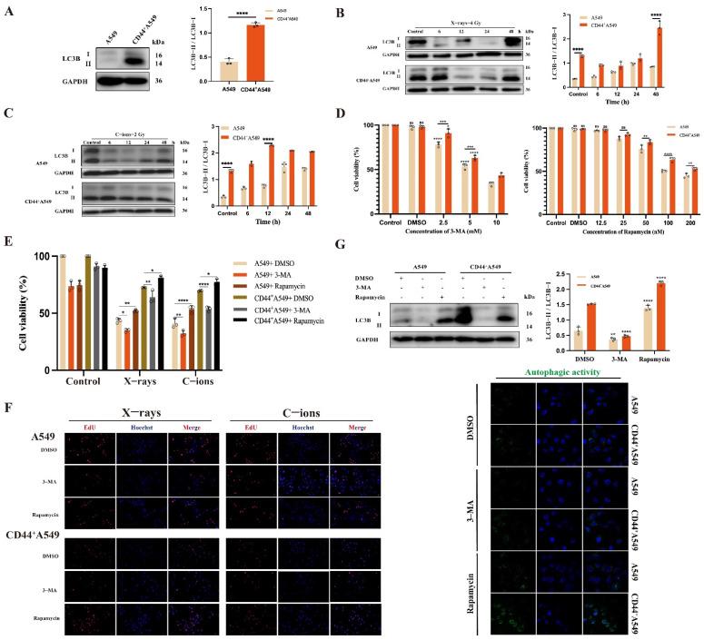 https://cdn.ncbi.nlm.nih.gov/pmc/blobs/ad2f/11504678/035181020042/biomedicines-12-02231-g004.jpg