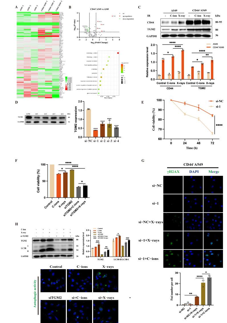 https://cdn.ncbi.nlm.nih.gov/pmc/blobs/ad2f/11504678/9873aeddc4cf/biomedicines-12-02231-g005.jpg