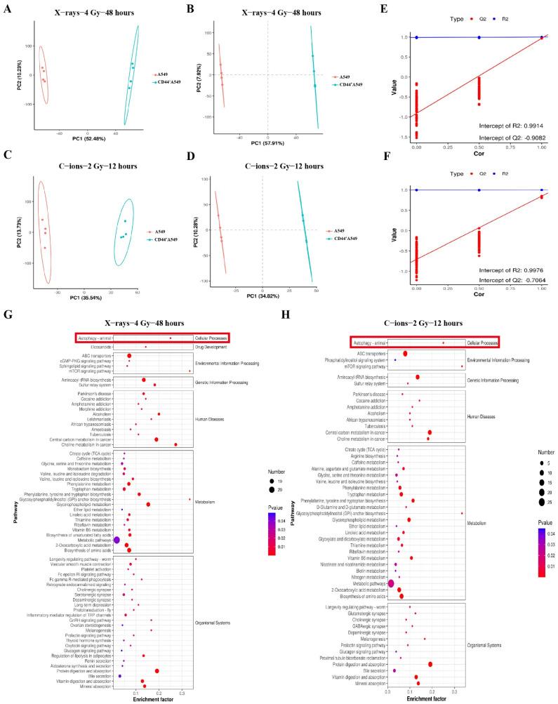 https://cdn.ncbi.nlm.nih.gov/pmc/blobs/ad2f/11504678/abcaae889f06/biomedicines-12-02231-g003.jpg