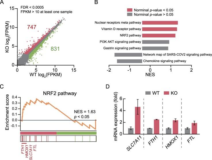 https://cdn.ncbi.nlm.nih.gov/pmc/blobs/ad30/11089925/edf82ef623a3/TACS_A_2349758_F0001_OC.jpg
