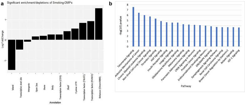 https://cdn.ncbi.nlm.nih.gov/pmc/blobs/ad30/7888173/0d20da8dbbfa/13148_2021_1018_Fig3_HTML.jpg
