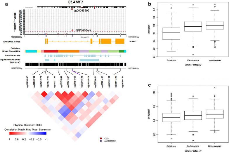 https://cdn.ncbi.nlm.nih.gov/pmc/blobs/ad30/7888173/16690e67a2c8/13148_2021_1018_Fig2_HTML.jpg