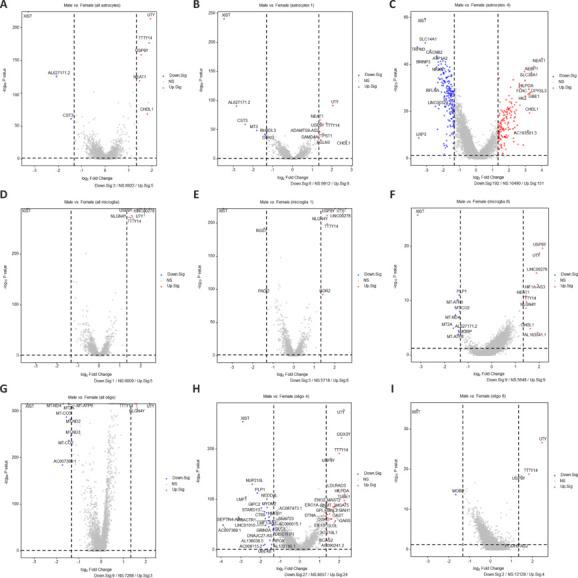 https://cdn.ncbi.nlm.nih.gov/pmc/blobs/ad31/11881709/09b5f2686aff/NRR-20-3302-g010.jpg