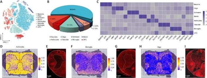 https://cdn.ncbi.nlm.nih.gov/pmc/blobs/ad31/11881709/a863e973ff6e/NRR-20-3302-g002.jpg
