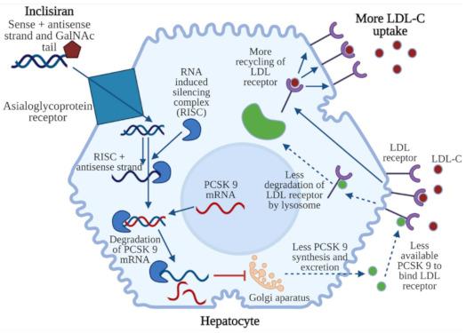 https://cdn.ncbi.nlm.nih.gov/pmc/blobs/ad35/8199585/658fdcea6797/jcm-10-02467-g003.jpg