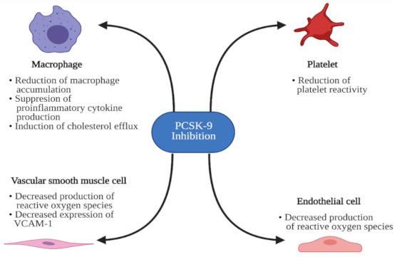 https://cdn.ncbi.nlm.nih.gov/pmc/blobs/ad35/8199585/7e22b05c7ce1/jcm-10-02467-g002.jpg