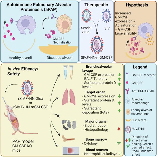 https://cdn.ncbi.nlm.nih.gov/pmc/blobs/ad36/9065048/0b0039932461/fx1.jpg