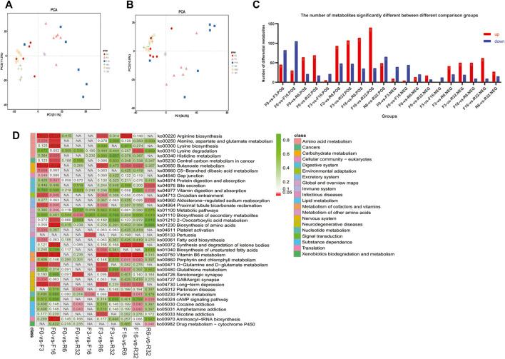 https://cdn.ncbi.nlm.nih.gov/pmc/blobs/ad37/9169092/92c543c3ef46/fphys-13-862721-g006.jpg