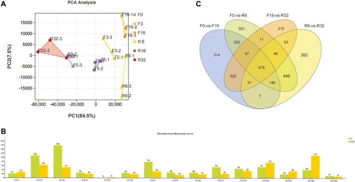 https://cdn.ncbi.nlm.nih.gov/pmc/blobs/ad37/9169092/94a39500c12d/fphys-13-862721-g001.jpg