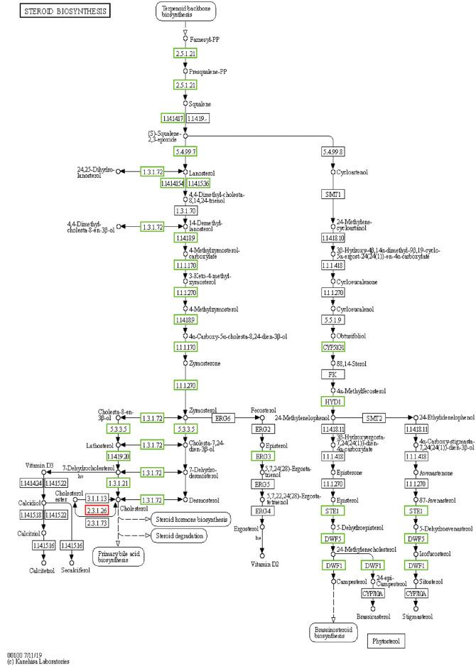 https://cdn.ncbi.nlm.nih.gov/pmc/blobs/ad37/9169092/c101b7c6fb3a/fphys-13-862721-g008.jpg