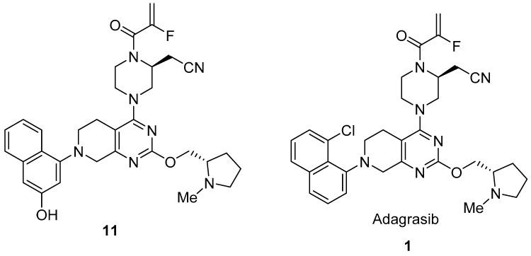 https://cdn.ncbi.nlm.nih.gov/pmc/blobs/ad39/10180415/1e03547dc550/molecules-28-03651-g003.jpg