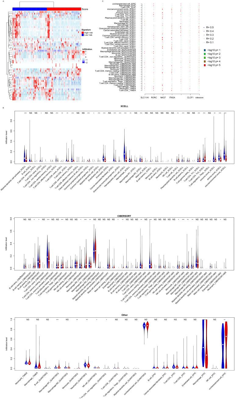 https://cdn.ncbi.nlm.nih.gov/pmc/blobs/ad39/12066757/fd6d597e366b/fimmu-16-1534611-g005.jpg