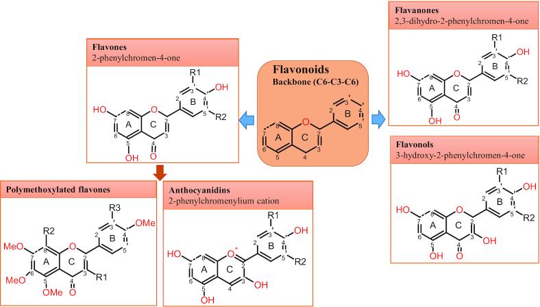 https://cdn.ncbi.nlm.nih.gov/pmc/blobs/ad39/7199889/5147d9c7804a/nzaa025fig1.jpg