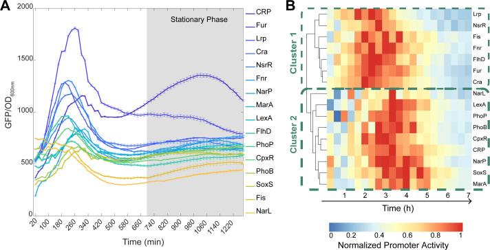 https://cdn.ncbi.nlm.nih.gov/pmc/blobs/ad3b/11237500/0312f334b16d/msystems.00065-24.f004.jpg