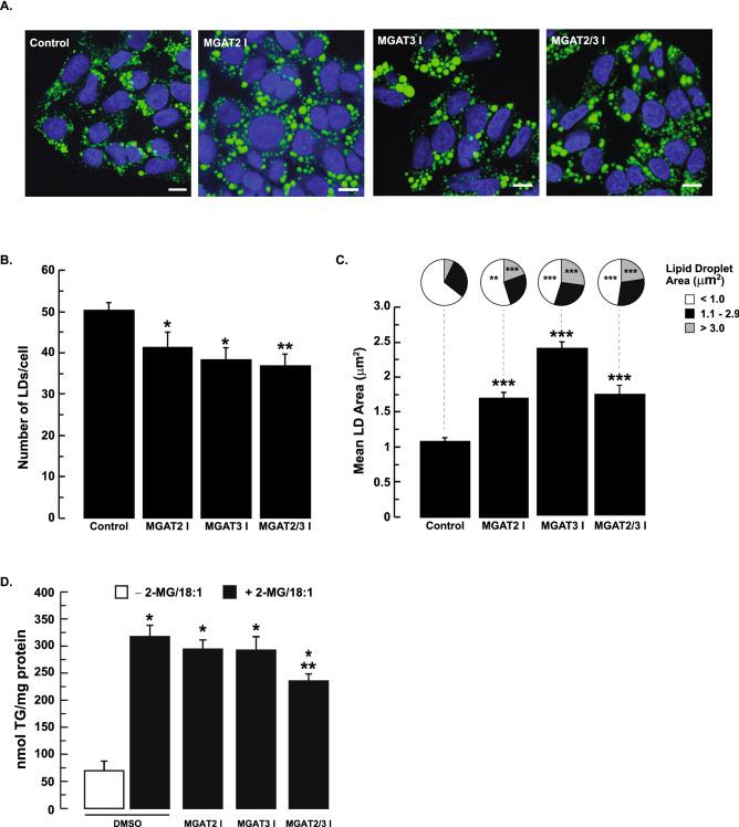 https://cdn.ncbi.nlm.nih.gov/pmc/blobs/ad3b/8943211/63354fa8334e/41598_2022_8946_Fig2_HTML.jpg