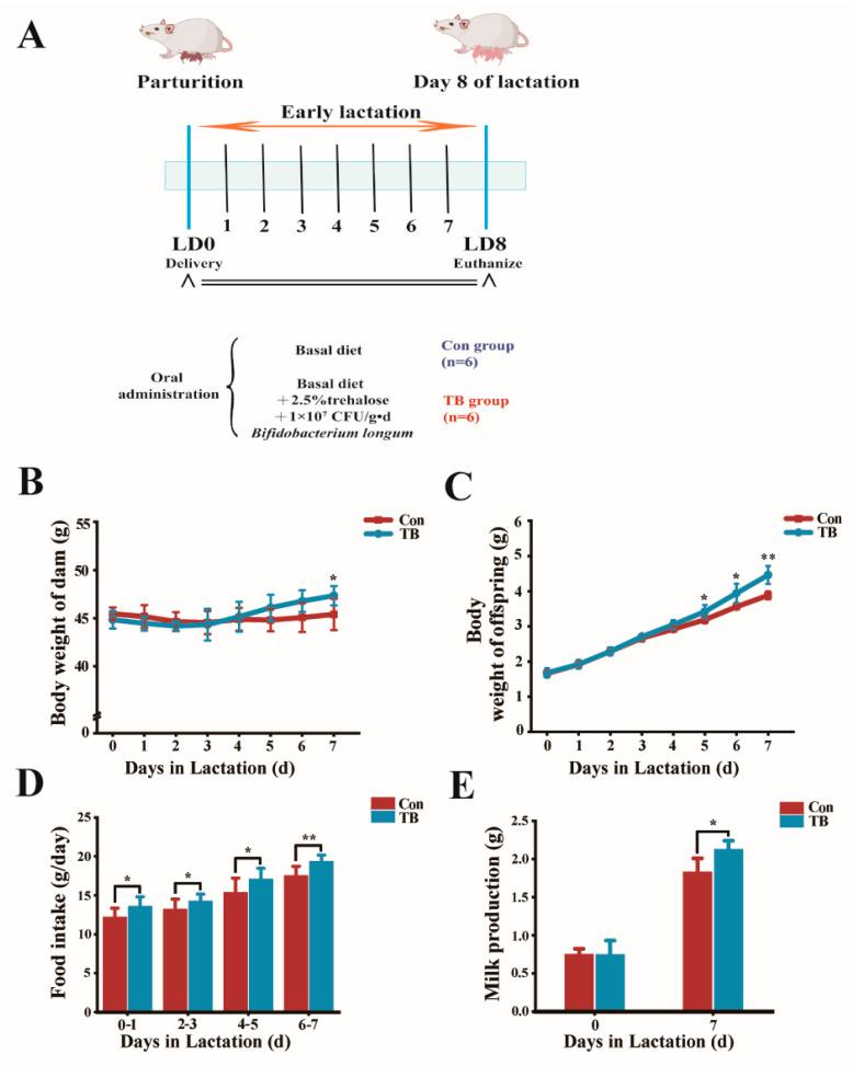 https://cdn.ncbi.nlm.nih.gov/pmc/blobs/ad3c/11505180/0297cbfe02f6/antioxidants-13-01223-g003.jpg