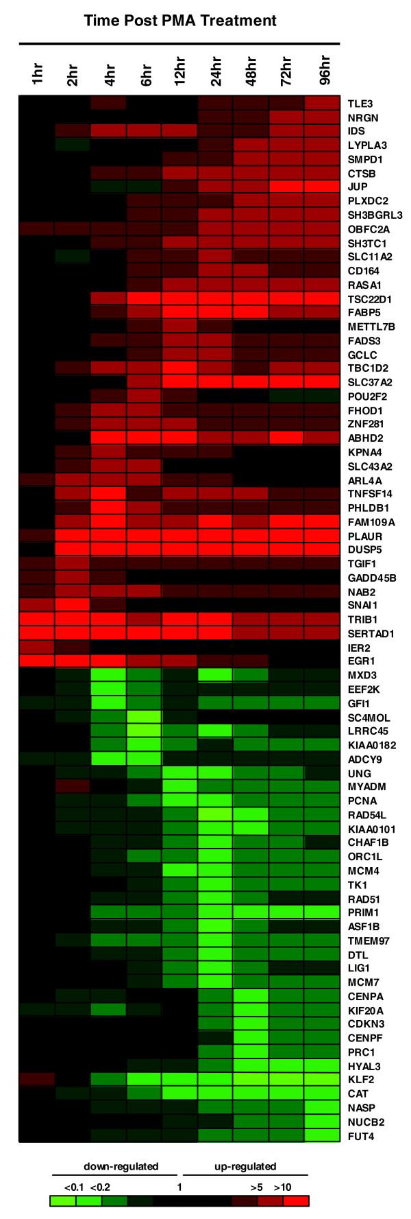 https://cdn.ncbi.nlm.nih.gov/pmc/blobs/ad3d/2688932/fafcb9c1c1f4/gb-2009-10-4-r41-7.jpg