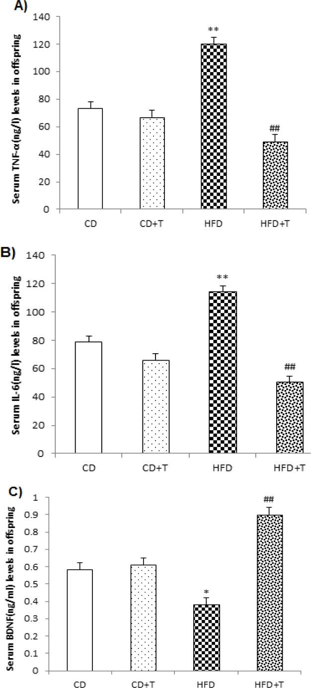 https://cdn.ncbi.nlm.nih.gov/pmc/blobs/ad3f/6823526/67dba94e5657/AJP-9-597-g003.jpg