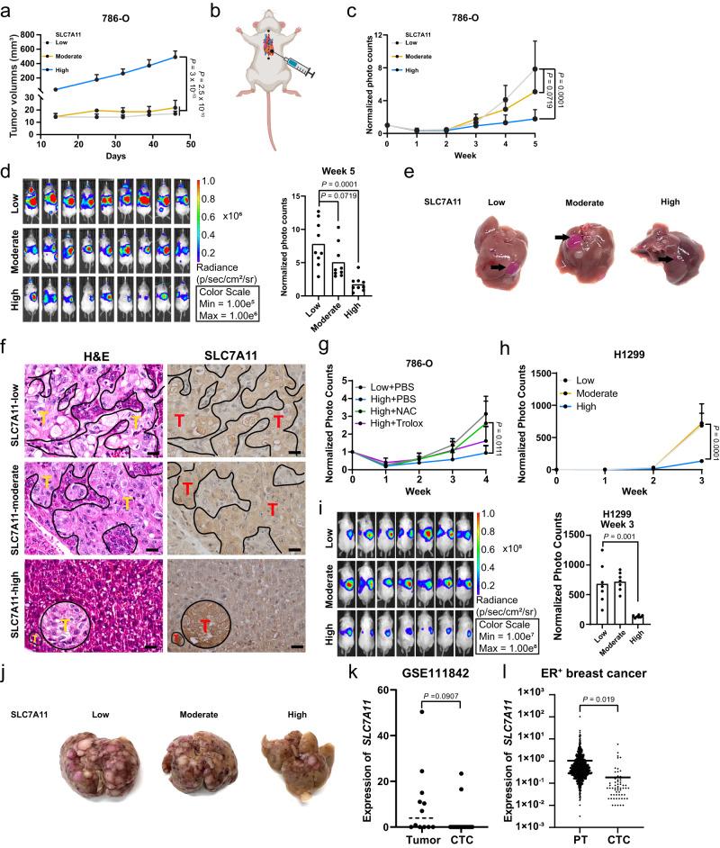 https://cdn.ncbi.nlm.nih.gov/pmc/blobs/ad41/10281978/010f83748006/41467_2023_39401_Fig5_HTML.jpg