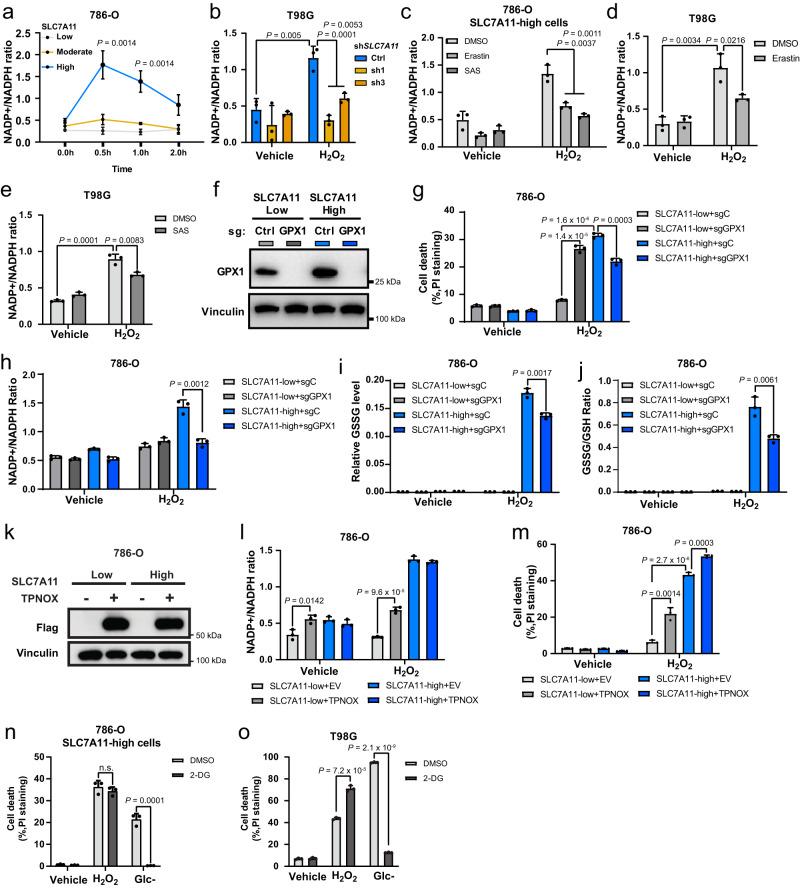 https://cdn.ncbi.nlm.nih.gov/pmc/blobs/ad41/10281978/b8e33303d861/41467_2023_39401_Fig4_HTML.jpg