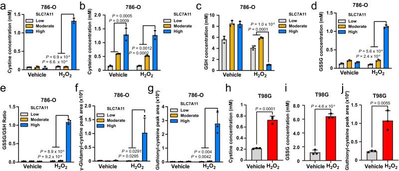https://cdn.ncbi.nlm.nih.gov/pmc/blobs/ad41/10281978/f7ee137a4412/41467_2023_39401_Fig2_HTML.jpg