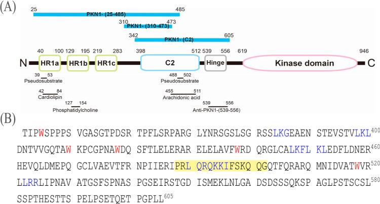 https://cdn.ncbi.nlm.nih.gov/pmc/blobs/ad47/10956426/daf5982db0c1/bi4c00009_0001.jpg
