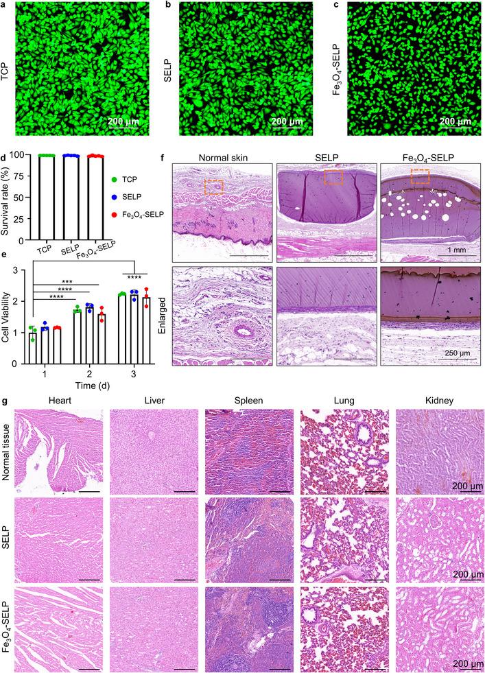 https://cdn.ncbi.nlm.nih.gov/pmc/blobs/ad47/12279187/a745af31bec6/ADVS-12-2503404-g001.jpg