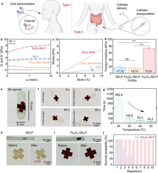 https://cdn.ncbi.nlm.nih.gov/pmc/blobs/ad47/12279187/d1cc502014e5/ADVS-12-2503404-g008.jpg