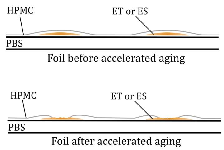 https://cdn.ncbi.nlm.nih.gov/pmc/blobs/ad49/12252232/8fa9fc93fdf4/polymers-17-01784-g002.jpg