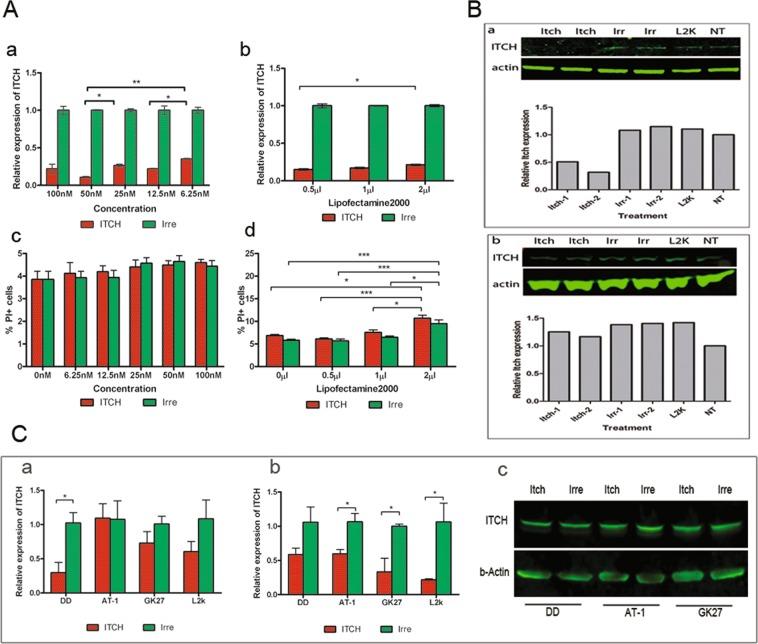 https://cdn.ncbi.nlm.nih.gov/pmc/blobs/ad49/6978385/8250f51e9e4e/41598_2020_57854_Fig3_HTML.jpg