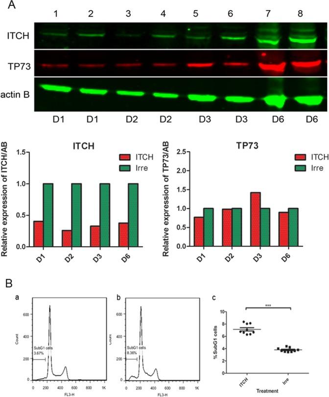 https://cdn.ncbi.nlm.nih.gov/pmc/blobs/ad49/6978385/df454f3323fd/41598_2020_57854_Fig4_HTML.jpg
