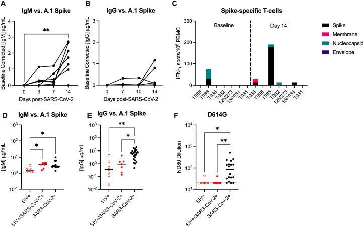 https://cdn.ncbi.nlm.nih.gov/pmc/blobs/ad4c/12129928/5a489fce3335/fimmu-16-1587688-g003.jpg