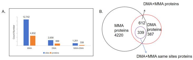 https://cdn.ncbi.nlm.nih.gov/pmc/blobs/ad4d/12153873/22b35796ee4a/cells-14-00796-g002.jpg