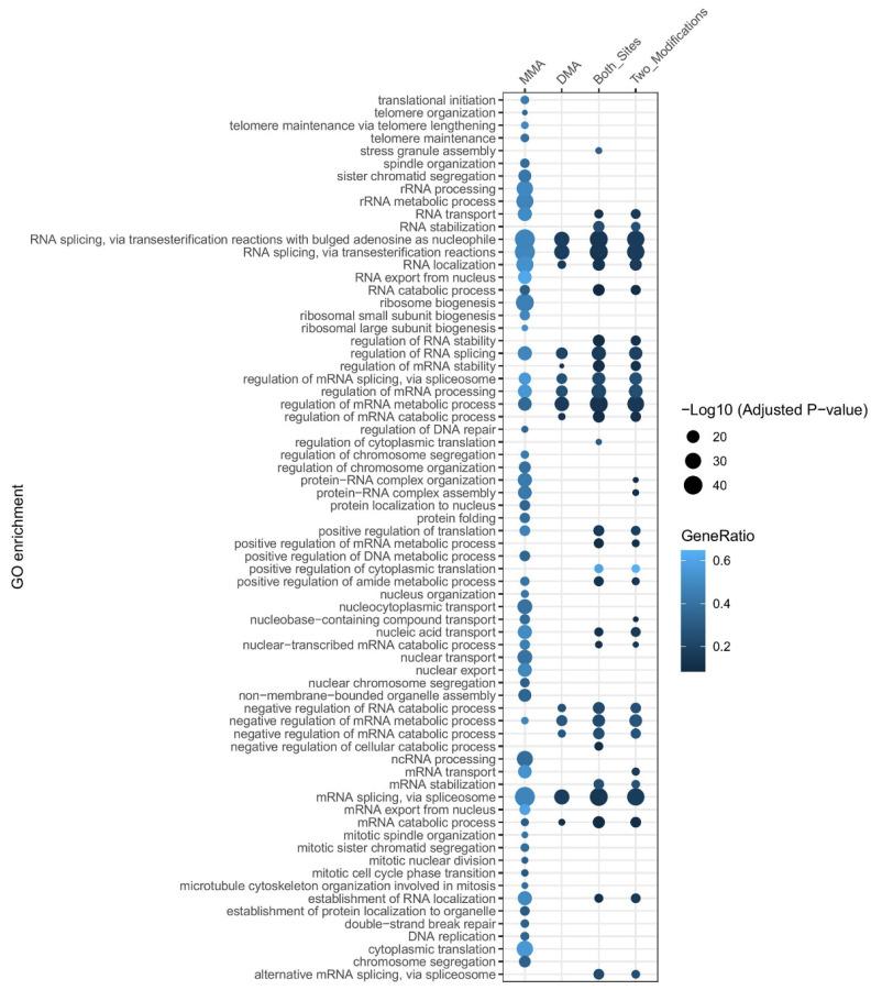 https://cdn.ncbi.nlm.nih.gov/pmc/blobs/ad4d/12153873/bd0da4cfbc02/cells-14-00796-g004.jpg