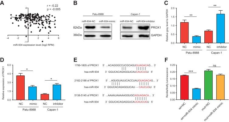 https://cdn.ncbi.nlm.nih.gov/pmc/blobs/ad51/7183785/17cd31941099/OTT-13-3389-g0004.jpg