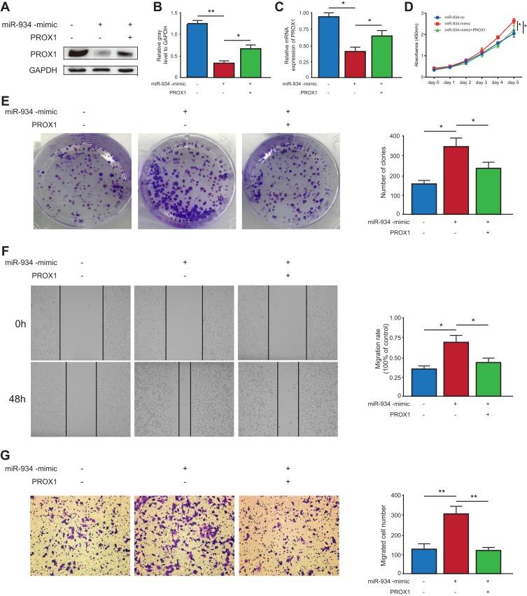 https://cdn.ncbi.nlm.nih.gov/pmc/blobs/ad51/7183785/d69f56559ca2/OTT-13-3389-g0005.jpg