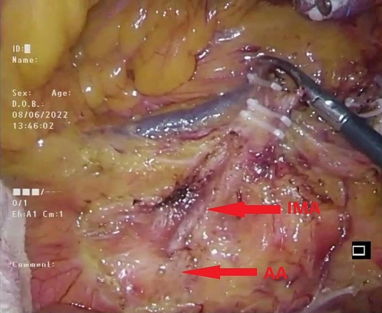 https://cdn.ncbi.nlm.nih.gov/pmc/blobs/ad54/11223325/056a8beb7ac8/12893_2024_2492_Fig7_HTML.jpg