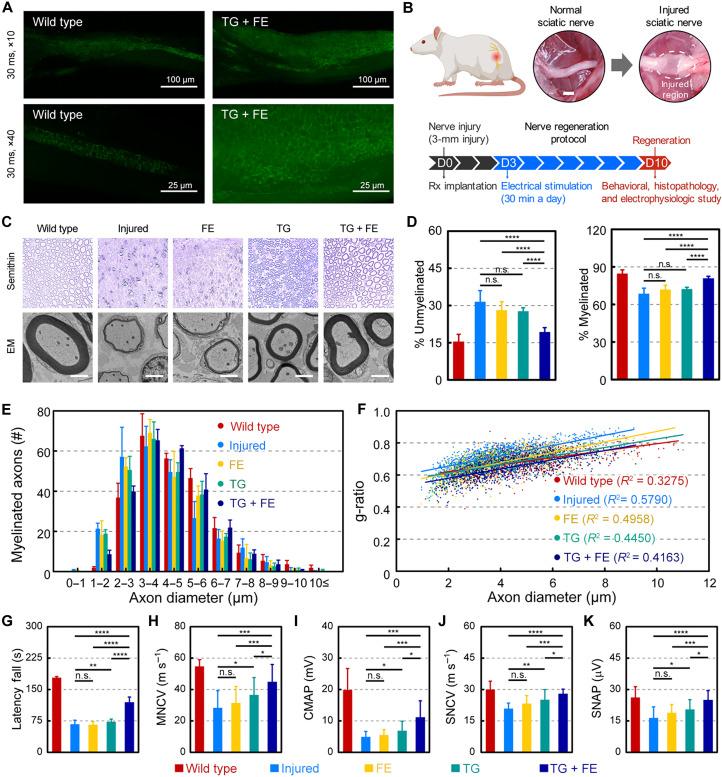 https://cdn.ncbi.nlm.nih.gov/pmc/blobs/ad54/12285705/3c1ea3a5f0d3/sciadv.adx5922-f3.jpg