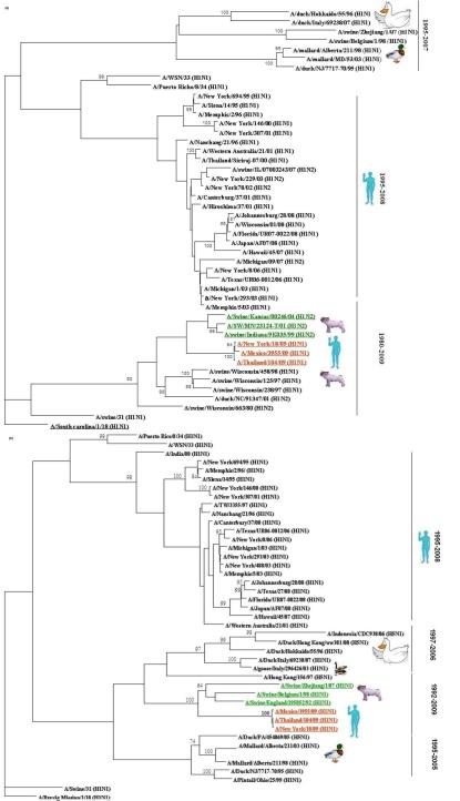 https://cdn.ncbi.nlm.nih.gov/pmc/blobs/ad55/2828893/0686519c1ea5/97320630004094F1.jpg
