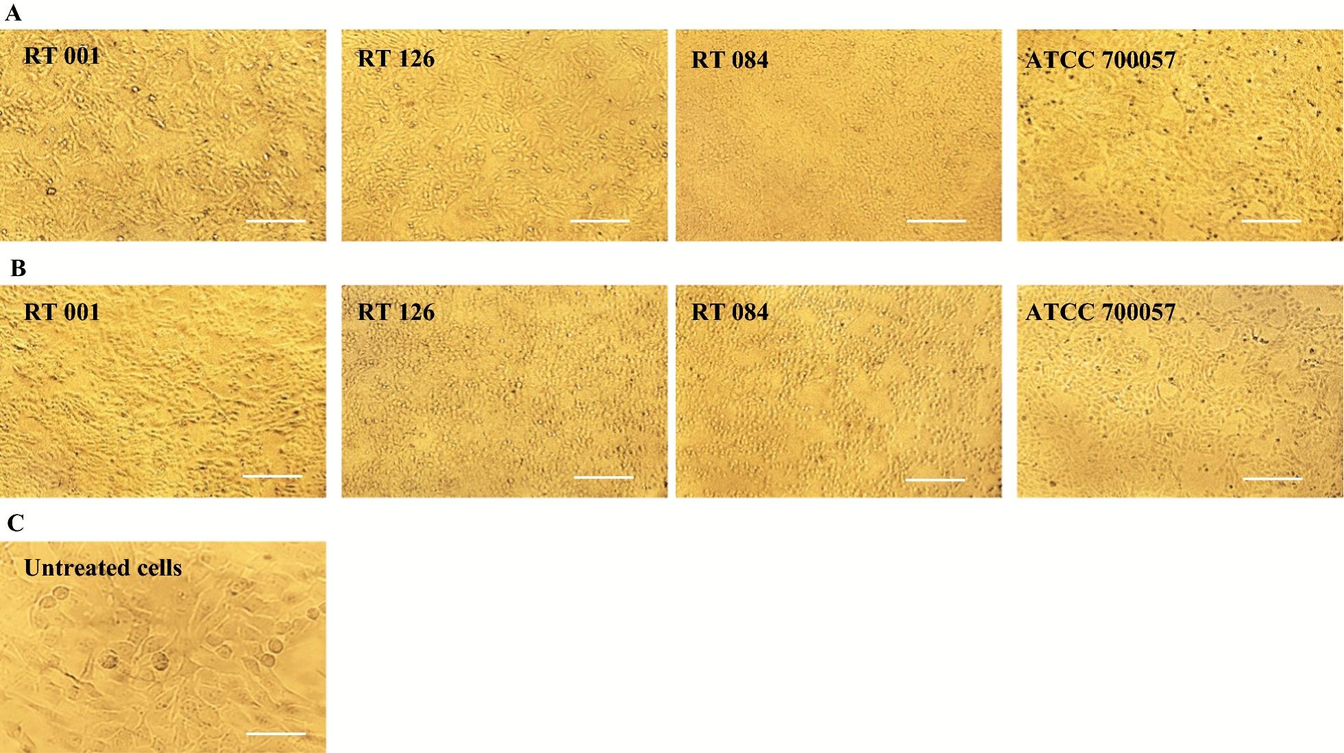 https://cdn.ncbi.nlm.nih.gov/pmc/blobs/ad55/9511736/0c766fe8dec5/12941_2022_533_Fig1_HTML.jpg