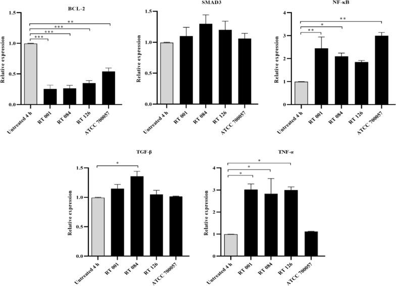 https://cdn.ncbi.nlm.nih.gov/pmc/blobs/ad55/9511736/47a3b2cc0ffe/12941_2022_533_Fig5_HTML.jpg