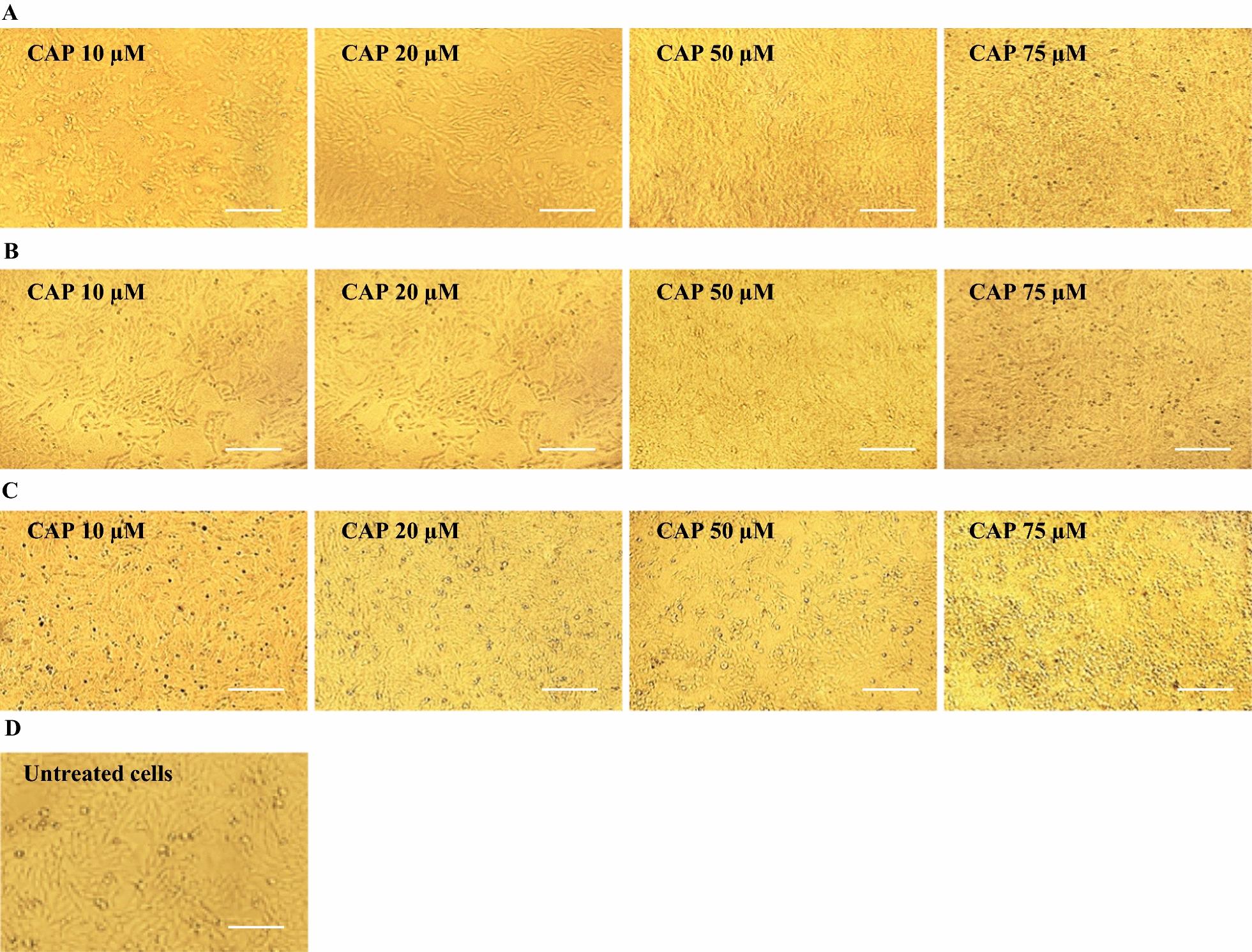 https://cdn.ncbi.nlm.nih.gov/pmc/blobs/ad55/9511736/66923bb6528c/12941_2022_533_Fig2_HTML.jpg