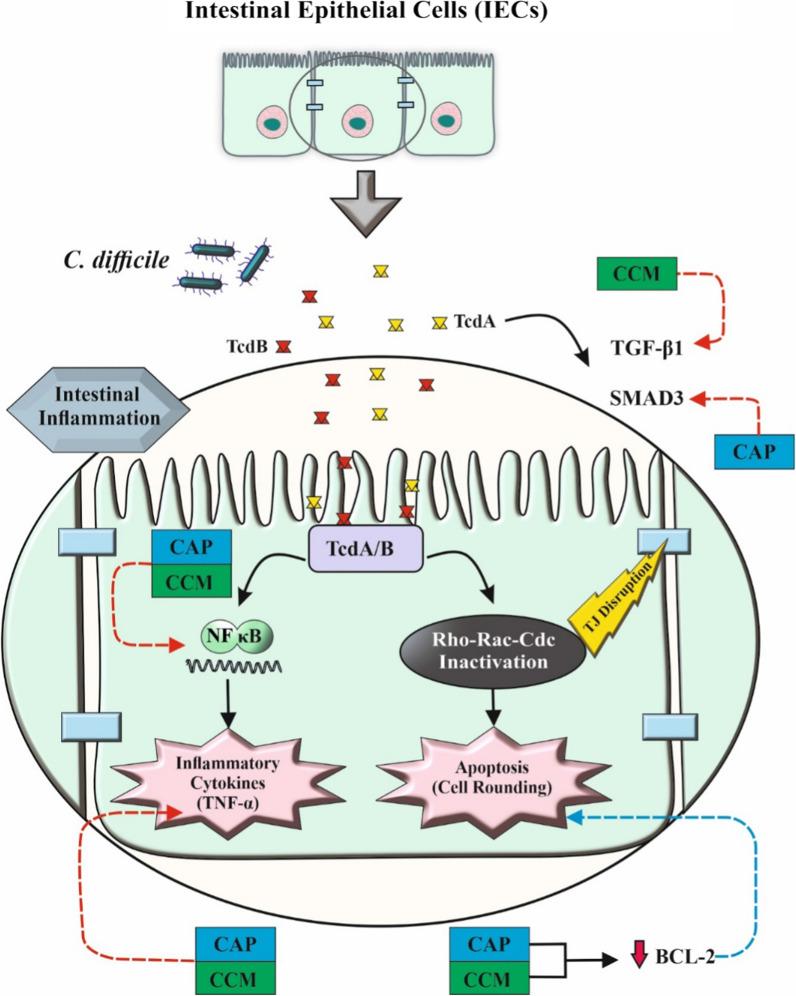 https://cdn.ncbi.nlm.nih.gov/pmc/blobs/ad55/9511736/6bb678b692d4/12941_2022_533_Fig8_HTML.jpg